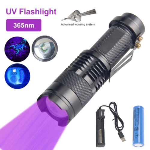 365NM UV LIGHT ULTRAVIOLET LANTERN FOR MONEY BED BUGS MASK SCORPIONS DETECT